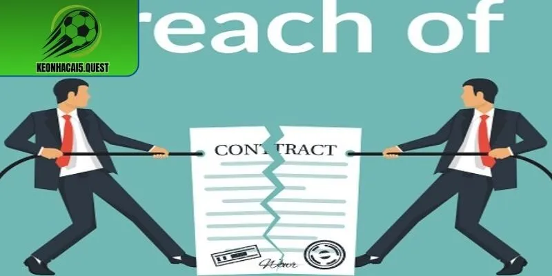 Các hạng mục nằm trong chính sách miễn trừ trách nhiệm